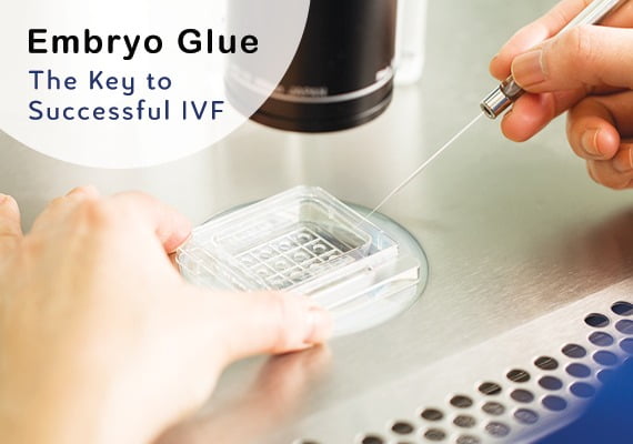 Embryo Glue In Ivf Boost Your Success Rates India Ivf Clinic