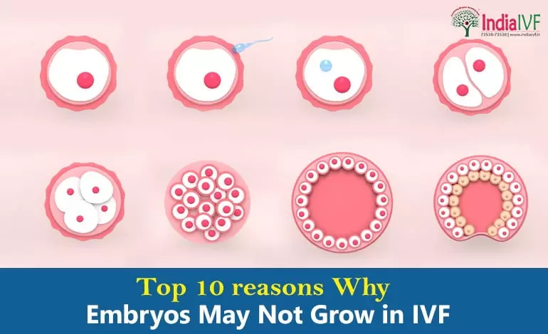 Unraveling the Mystery: Why is the Embryo Not Growing in IVF