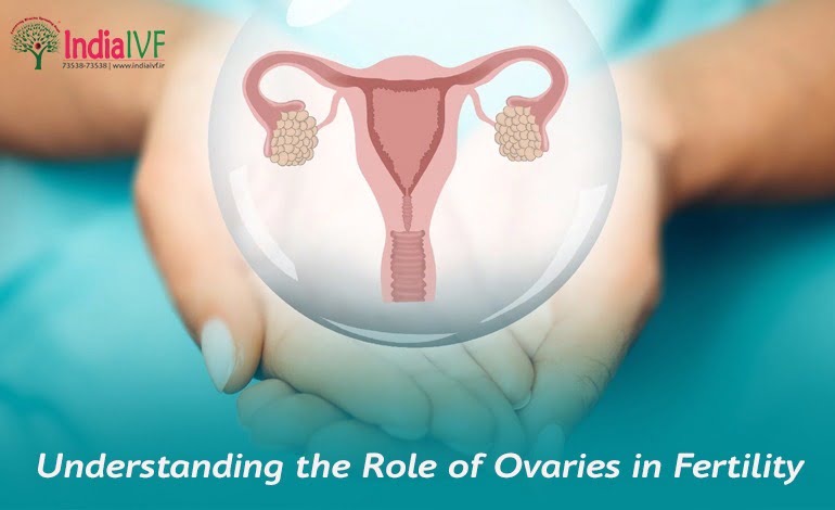 ovary