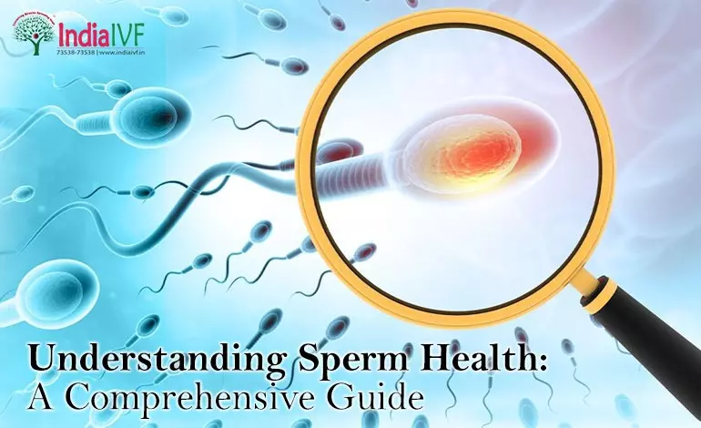 Understanding Sperm Health A Comprehensive Guide