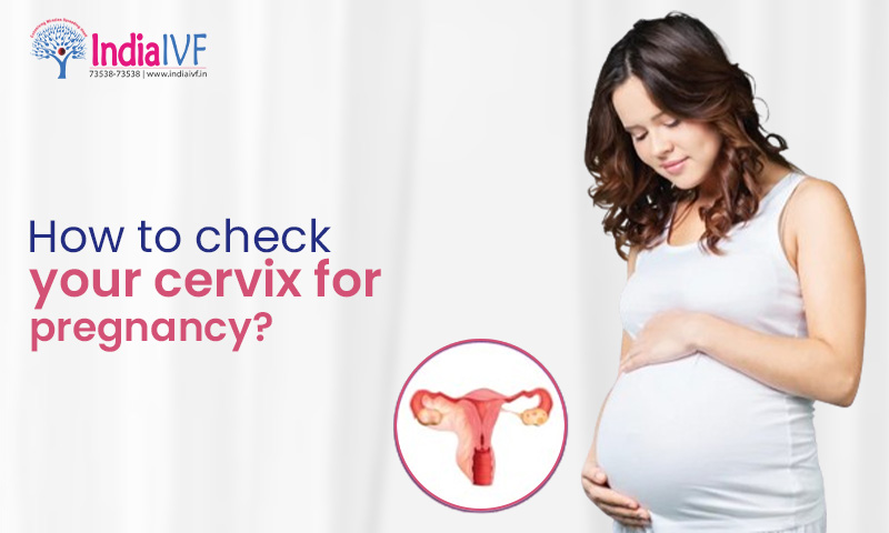 How to Check Your Cervix for Pregnancy
