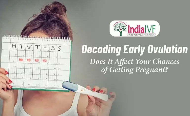 Decoding Early Ovulation, Does It Affect Your Chances of Getting  Pregnant?