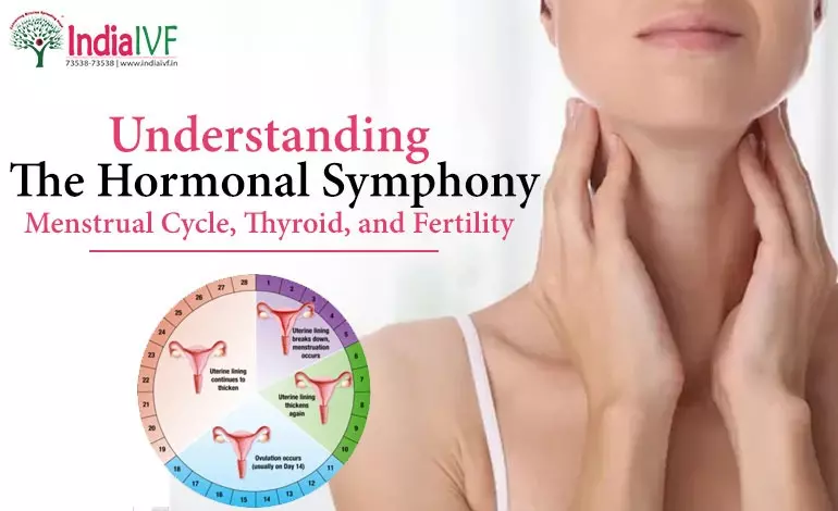 Hormonal Control in Menstrual Cycle & Thyroid