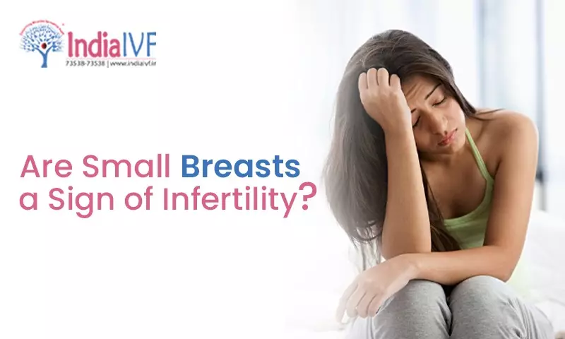 https://www.indiaivf.in/wp-content/uploads/2023/10/Are-Small-Breasts-a-Sign-of-Infertility.webp