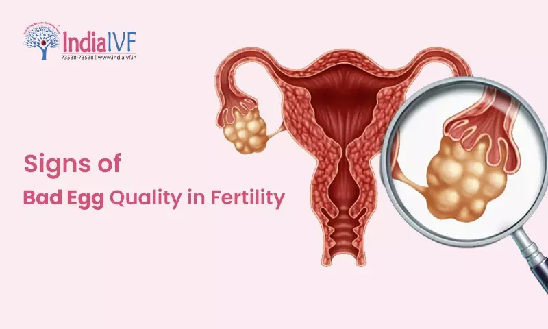 Decoding the Signs of Bad Egg Quality with India IVF Fertility