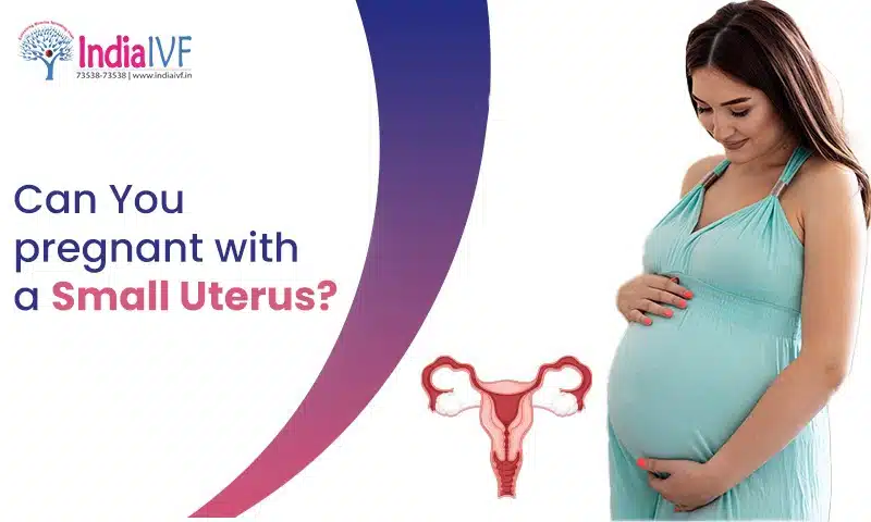 Can You Pregnant with a Small Uterus? Understanding the Possibilities