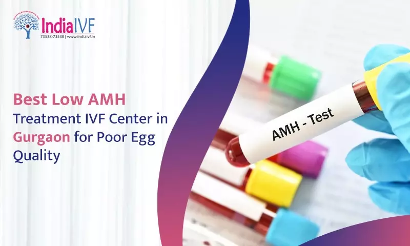 Best Low AMH Treatment IVF Center in Gurgaon