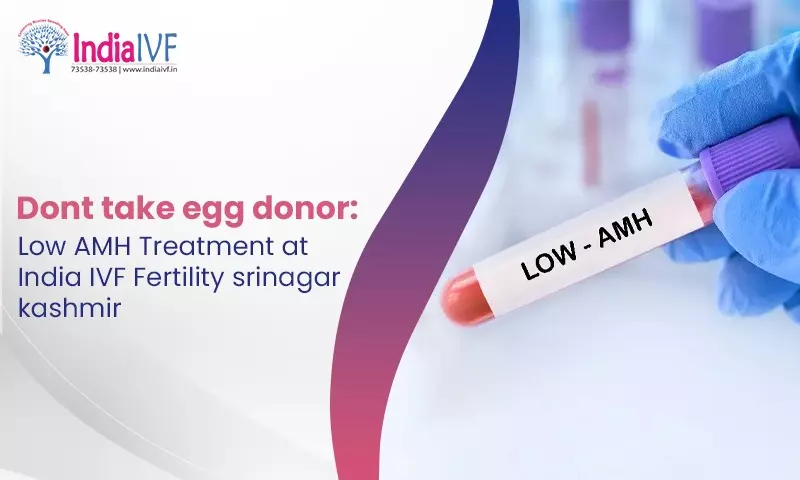 Dont take egg donor: Low AMH Treatment at India IVF Fertility srinagar kashmir