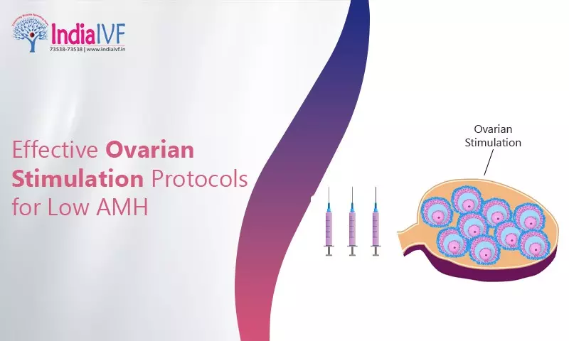 Effective Ovarian Stimulation Protocols for Low AMH: Insights from Dr. Richika Sahay at India IVF Clinic