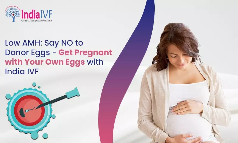 Get Pregnant with Your Own Eggs