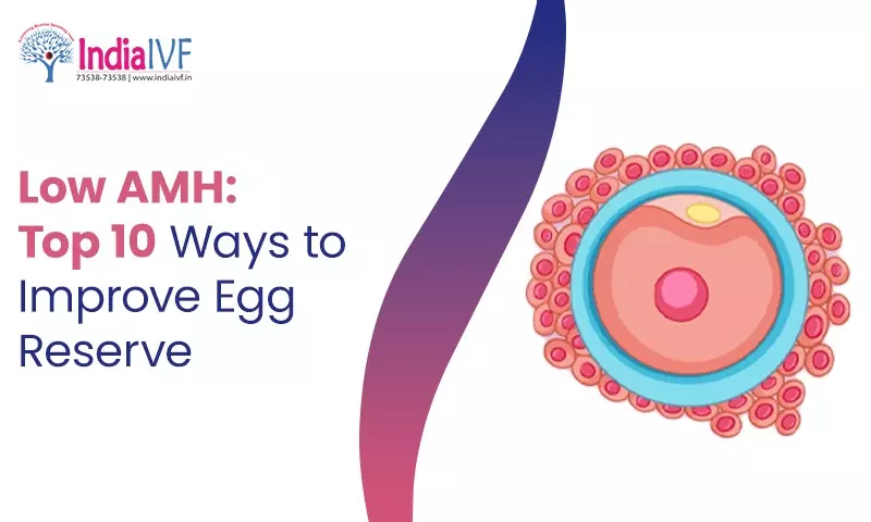 Low AMH: Top 10 Ways to Improve Egg Reserve