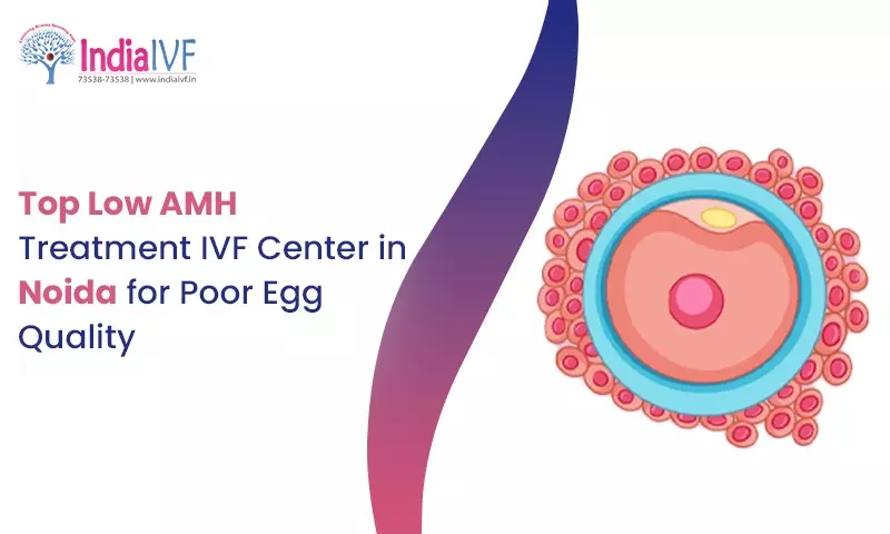 Top Low AMH Treatment IVF Center in Noida: Specialized Care at India IVF Fertility
