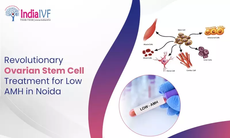 Revolutionary Ovarian Stem Cell Treatment for Low AMH in Noida – India IVF Fertility