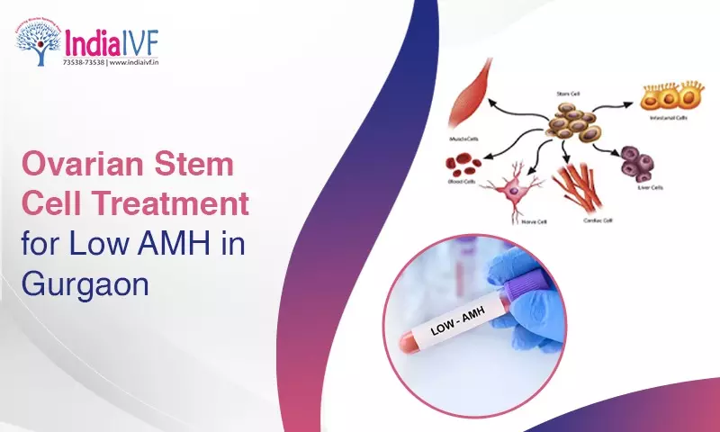 Ovarian Stem Cell Treatment for Low AMH in Gurgaon: The Ultimate Guide