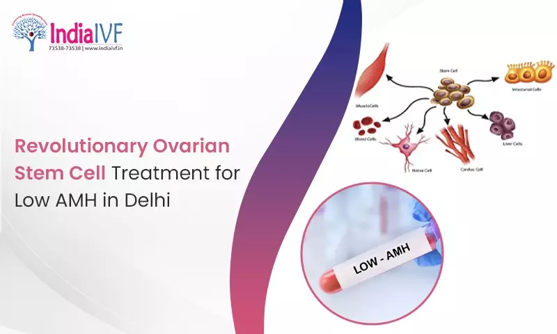 Revolutionary Ovarian Stem Cell Treatment for Low AMH in Delhi: Boost Your Fertility