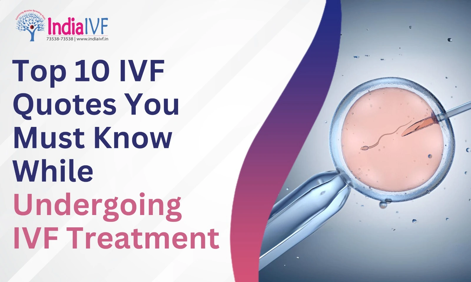 Top 10 IVF Quotes You Must Know While Undergoing IVF Treatment