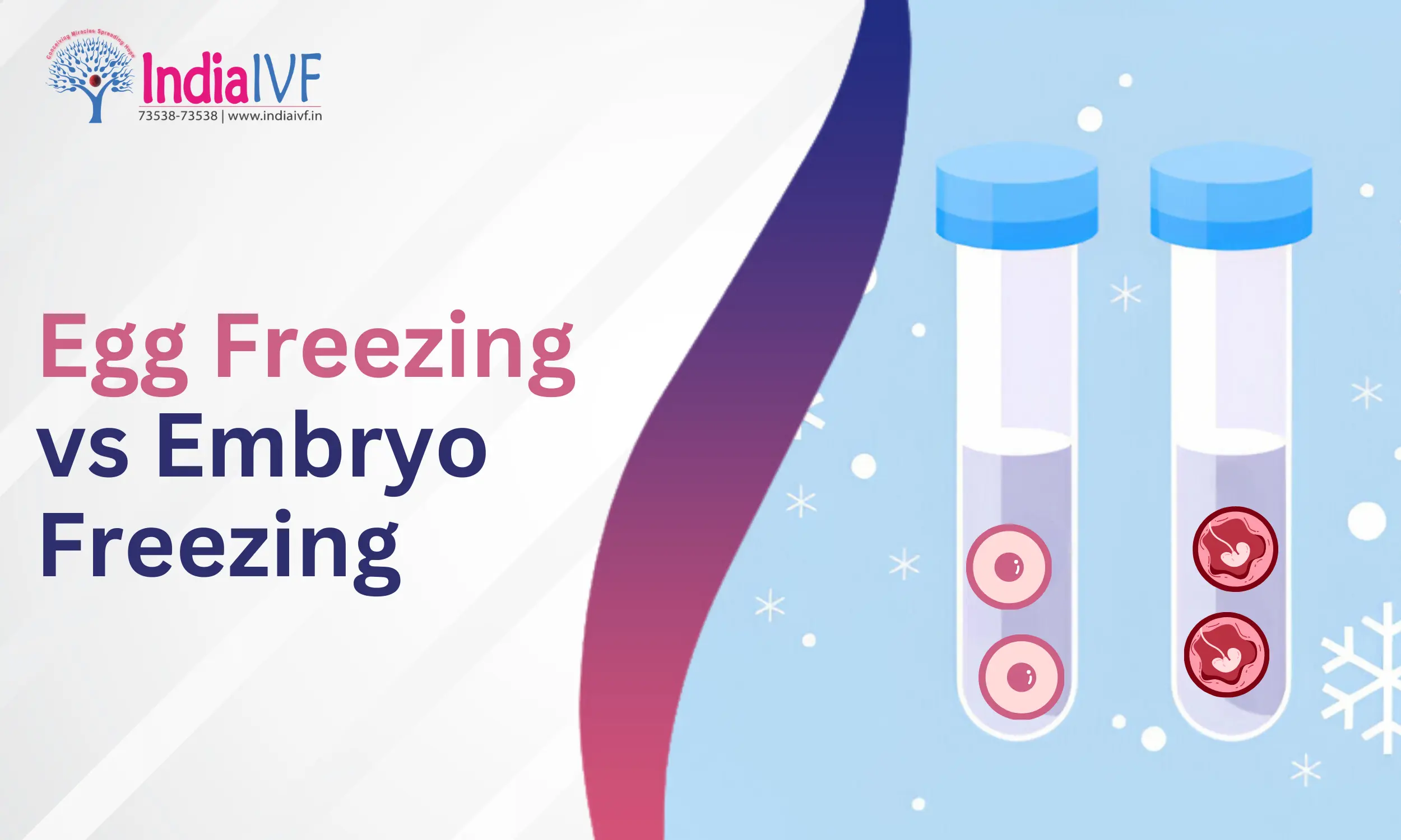 Egg Freezing vs Embryo Freezing
