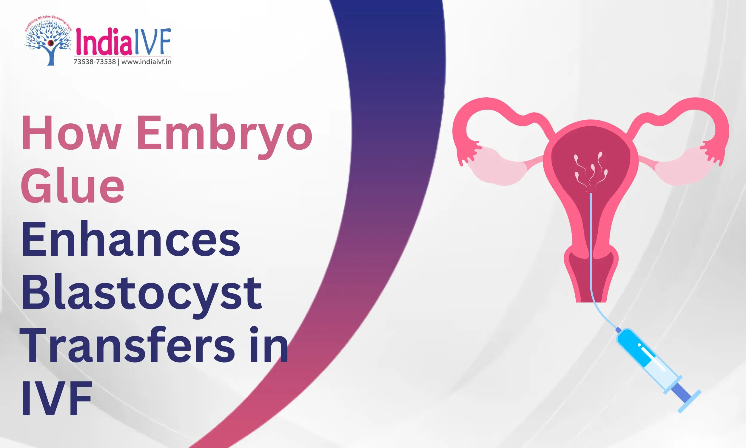 Embryo Glue Enhances Blastocyst Transfers