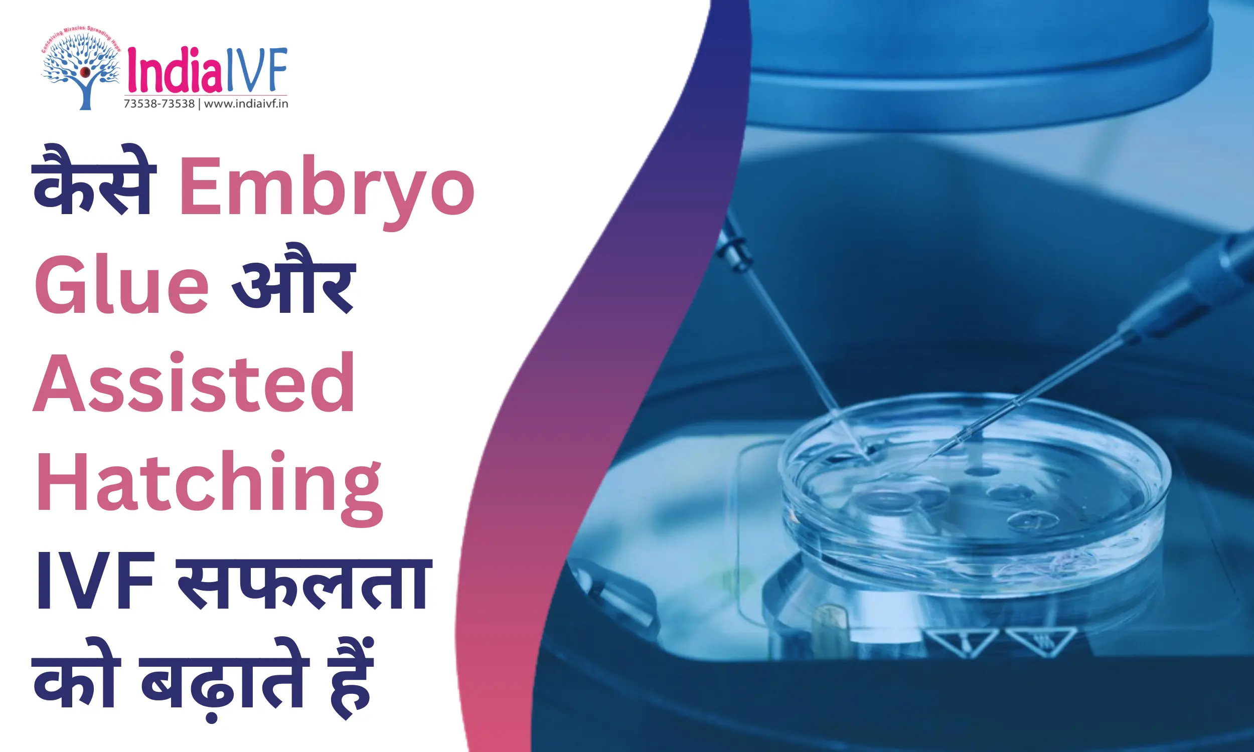 Embryo Glue और Assisted Hatching IVF