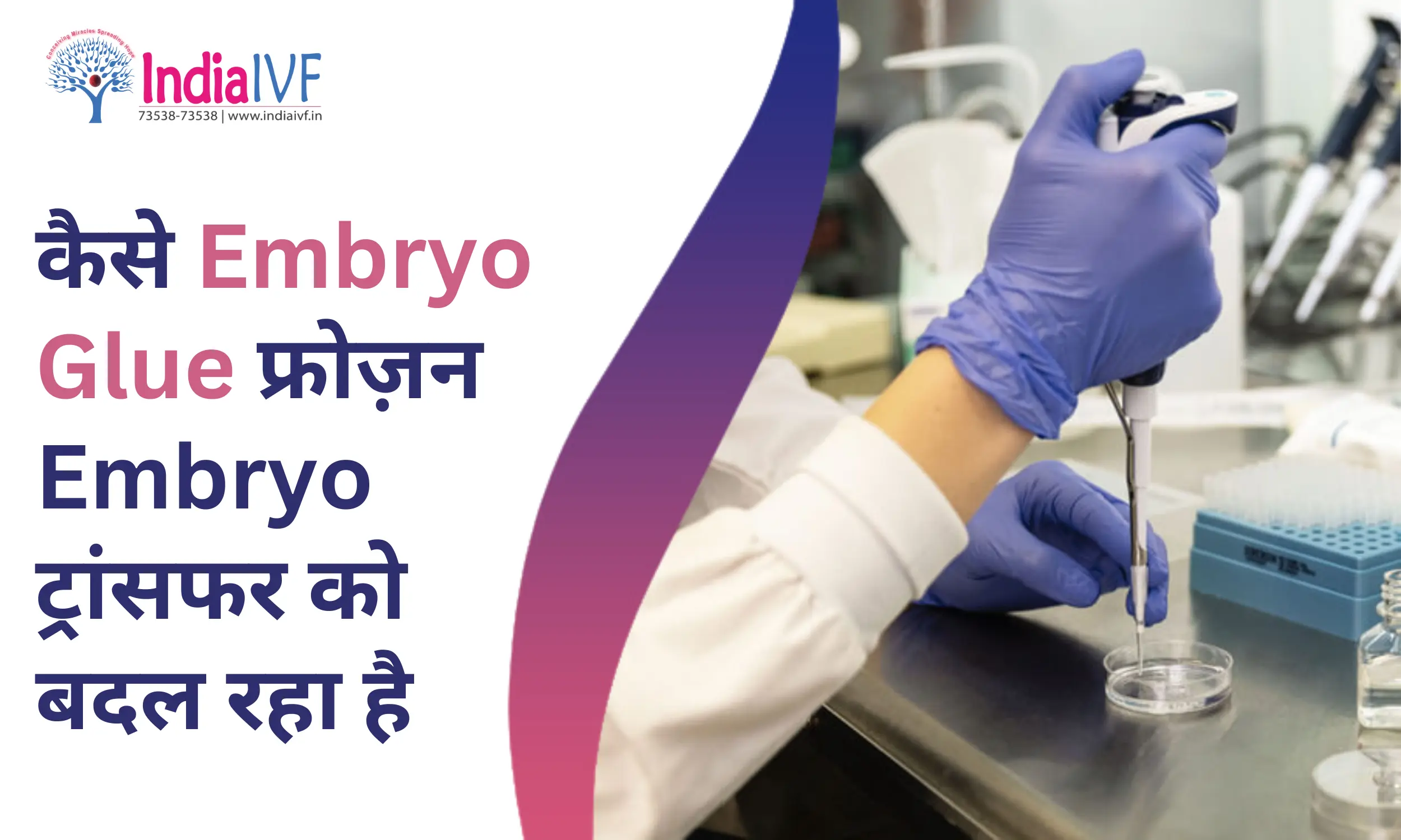 कैसे Embryo Glue फ्रोज़न Embryo ट्रांसफर को बदल रहा है