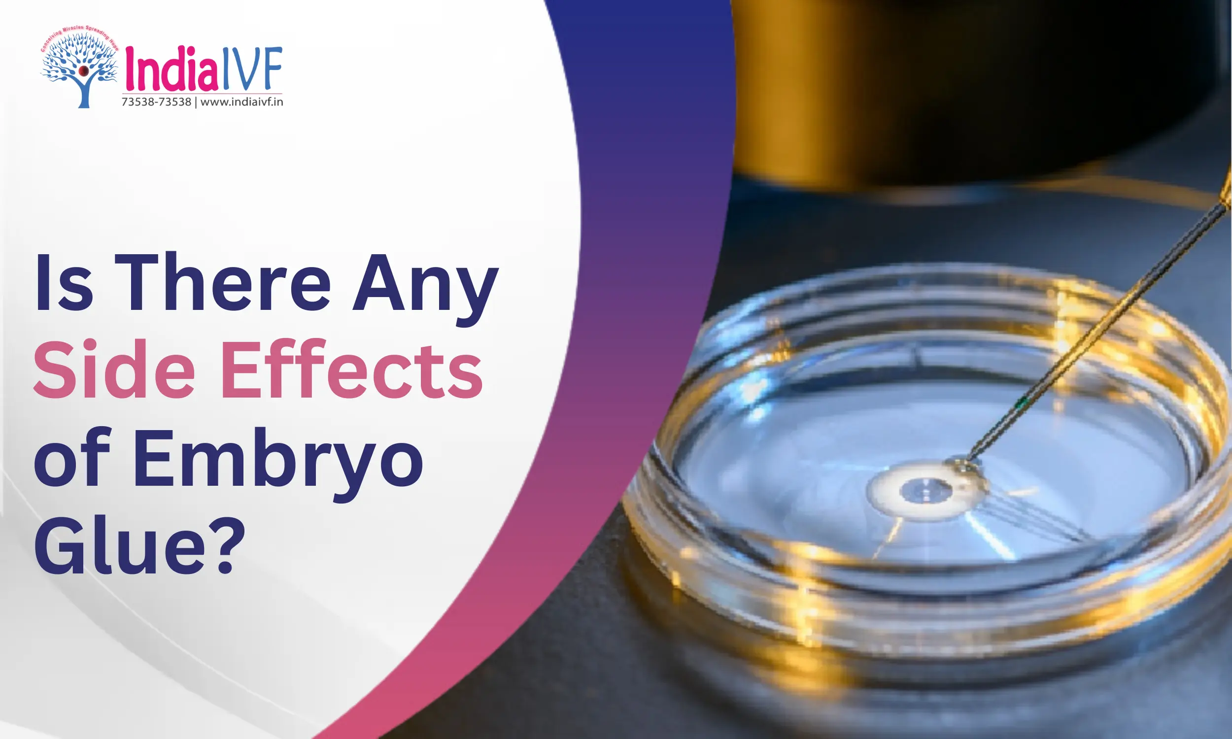 Side Effects of Embryo Glue