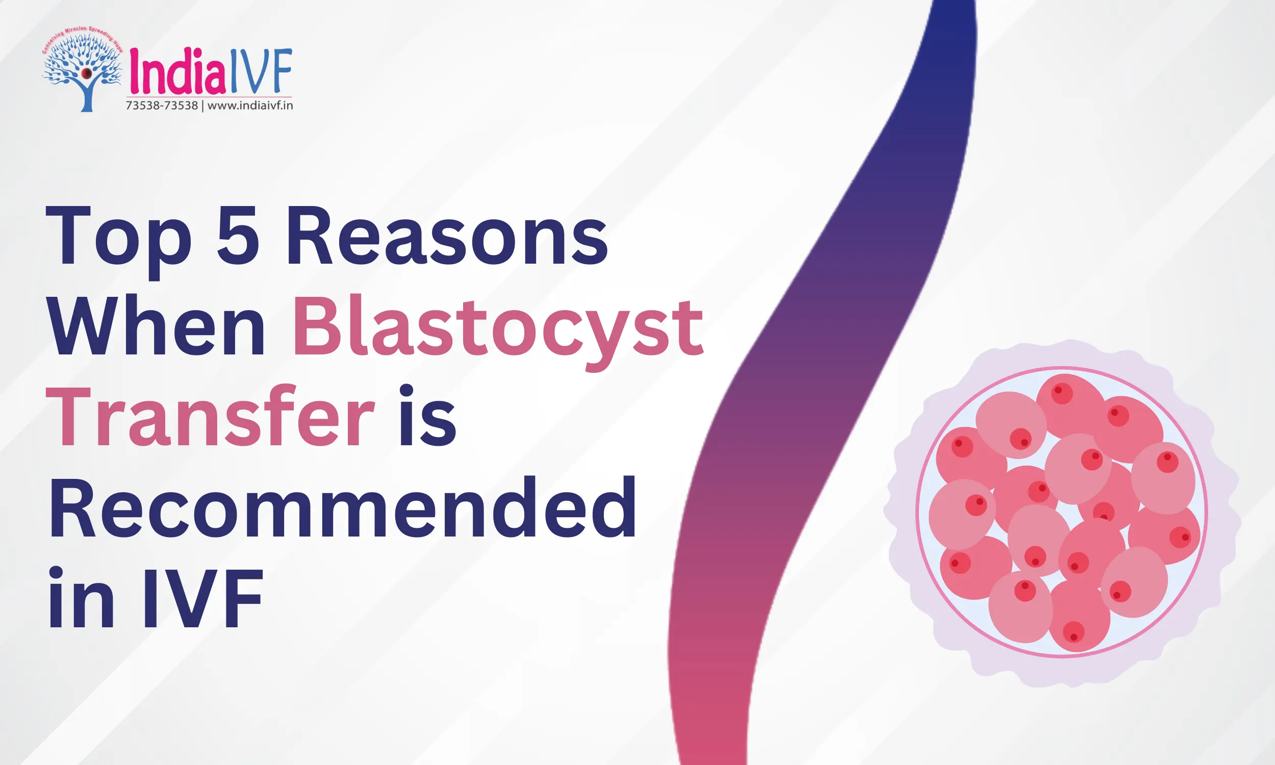 Top 5 Reasons When Blastocyst Transfer is Recommended in IVF: Best for Success Rates and Outcomes