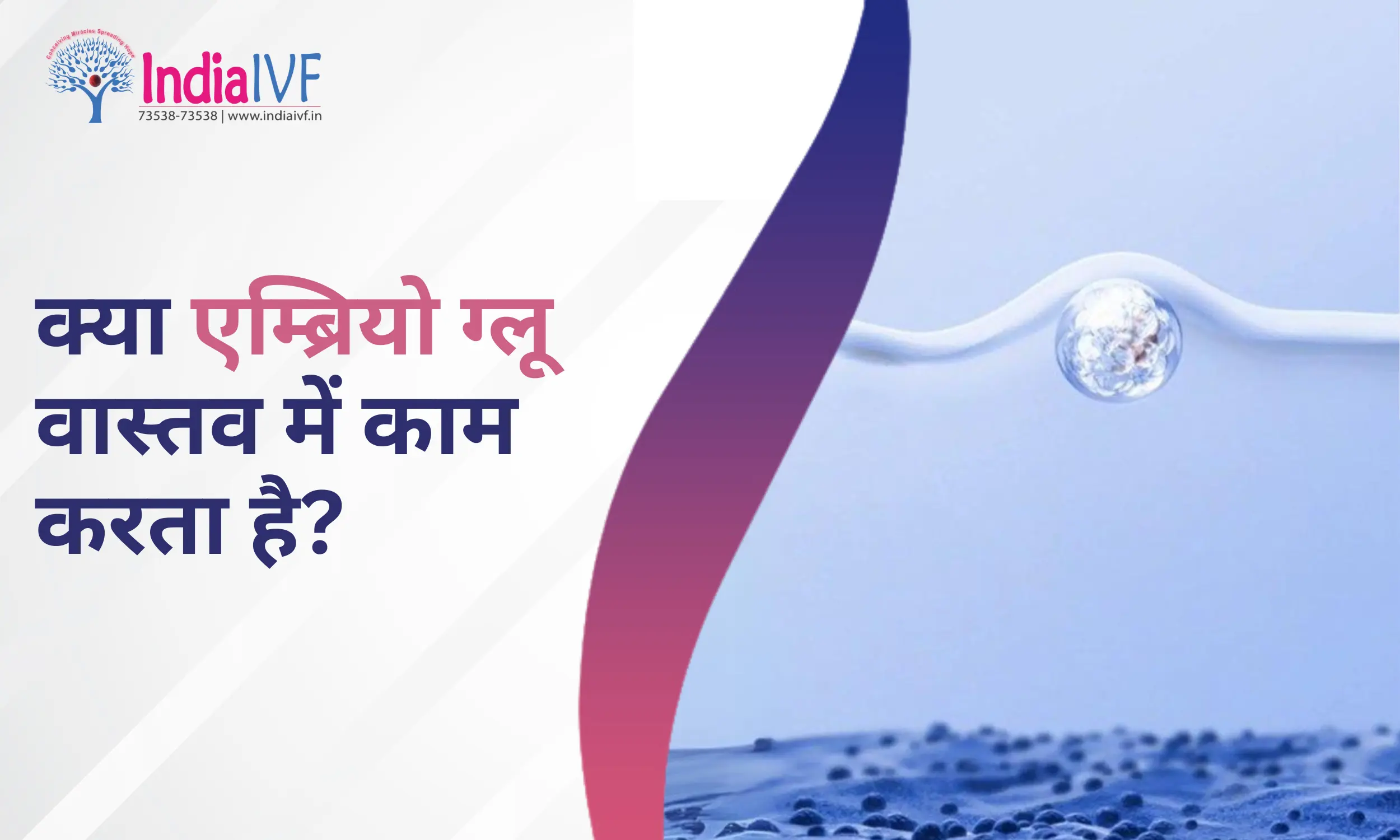 क्या एम्ब्रियो ग्लू वास्तव में काम करता है? India IVF Fertility में सच जानें