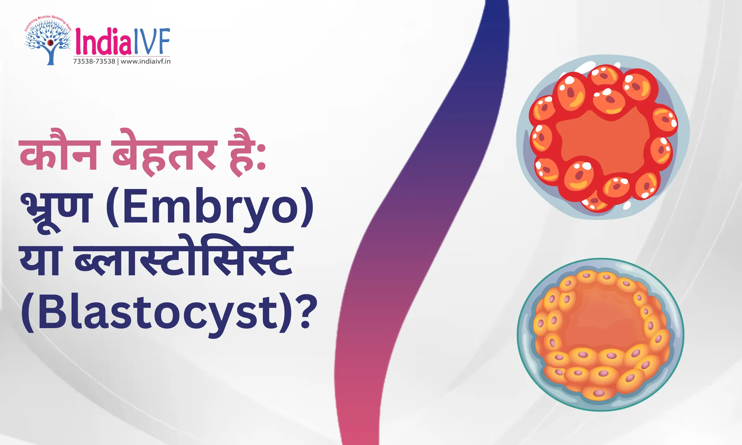 कौन बेहतर है: भ्रूण (Embryo) या ब्लास्टोसिस्ट (Blastocyst)? विशेषज्ञ समीक्षा के साथ IVF सफलता के लिए मार्गदर्शन