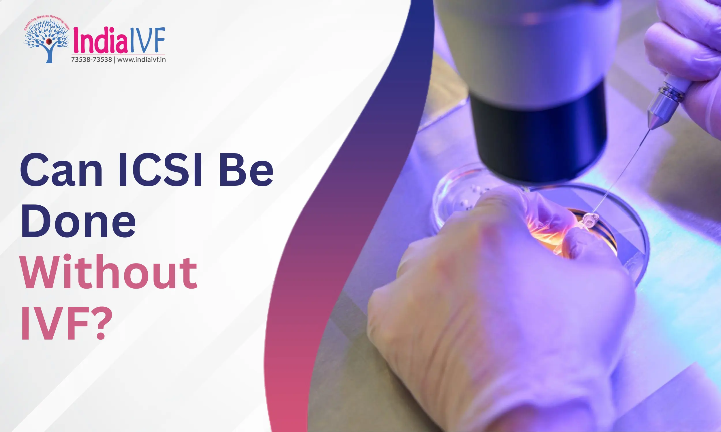 Can ICSI Be Done Without IVF?