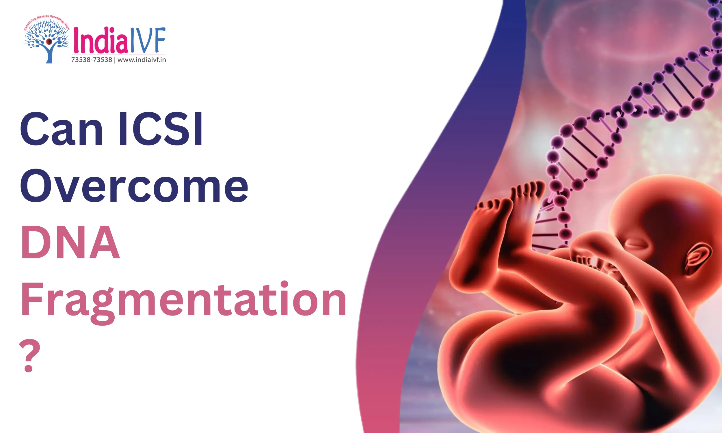 Can ICSI Overcome DNA Fragmentation?