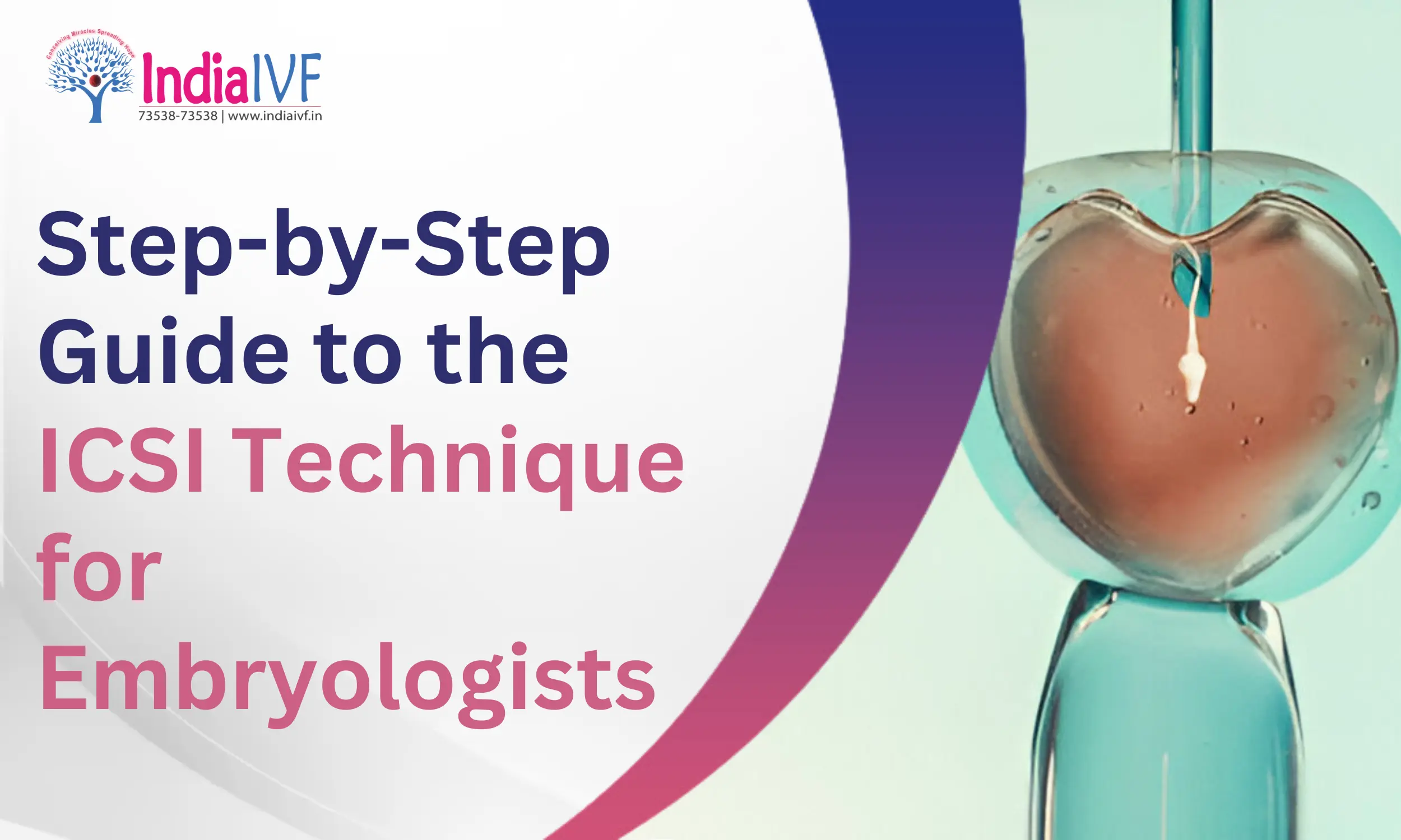 Step-by-Step Guide to the ICSI Technique for Embryologists: Hands-On Training