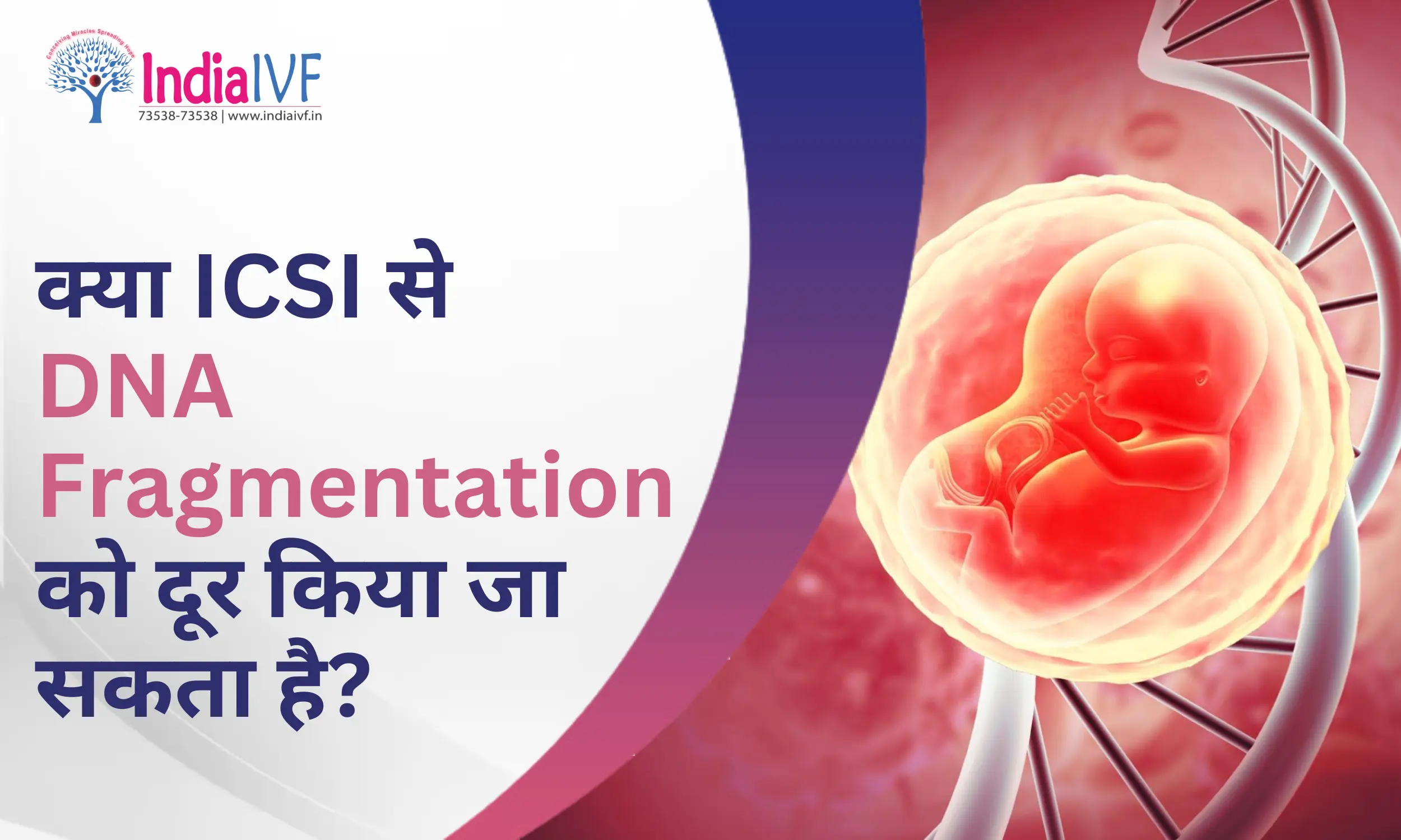 क्या ICSI से DNA Fragmentation को दूर किया जा सकता है?