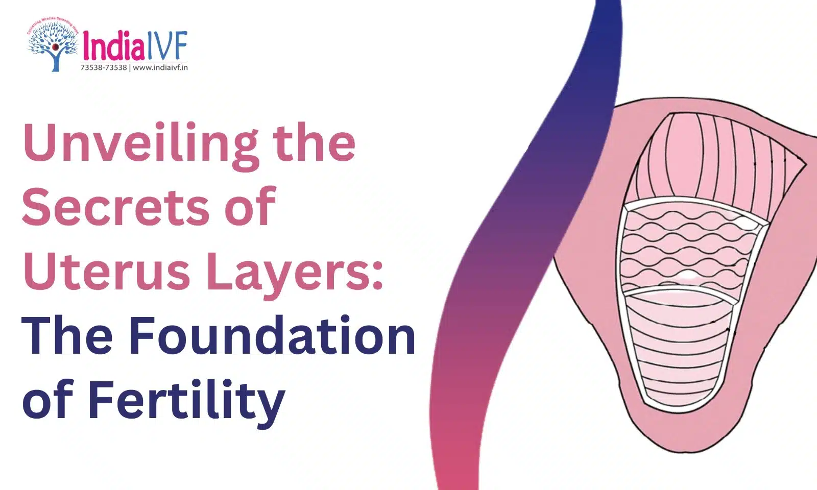 Unveiling the Secrets of Uterus Layers: The Foundation of Fertility