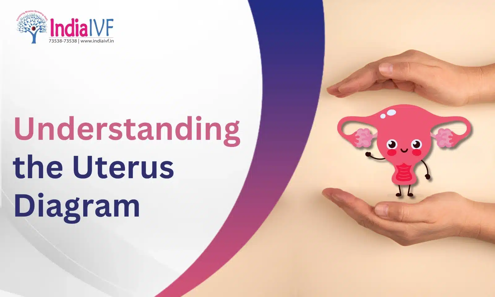 Understanding the Uterus Diagram: A Key to Fertility Health