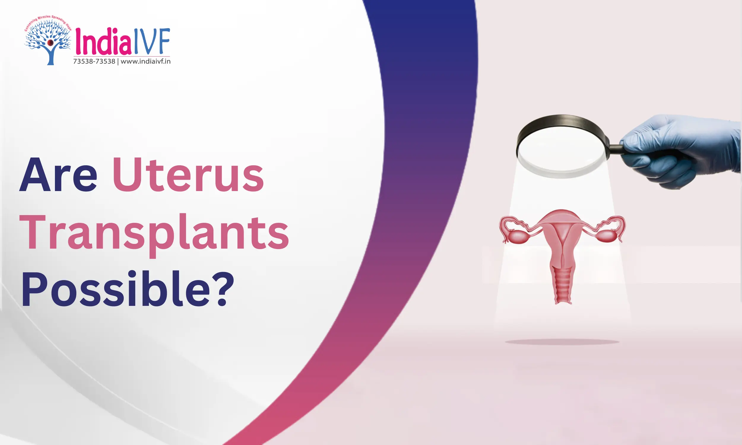 Uterus Transplants Possible