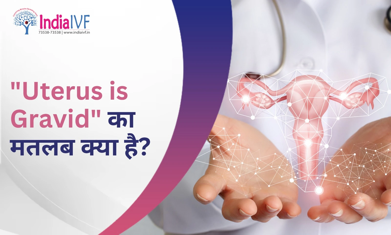 Uterus is Gravid का मतलब क्या