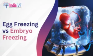 Egg Freezing vs Embryo Freezing