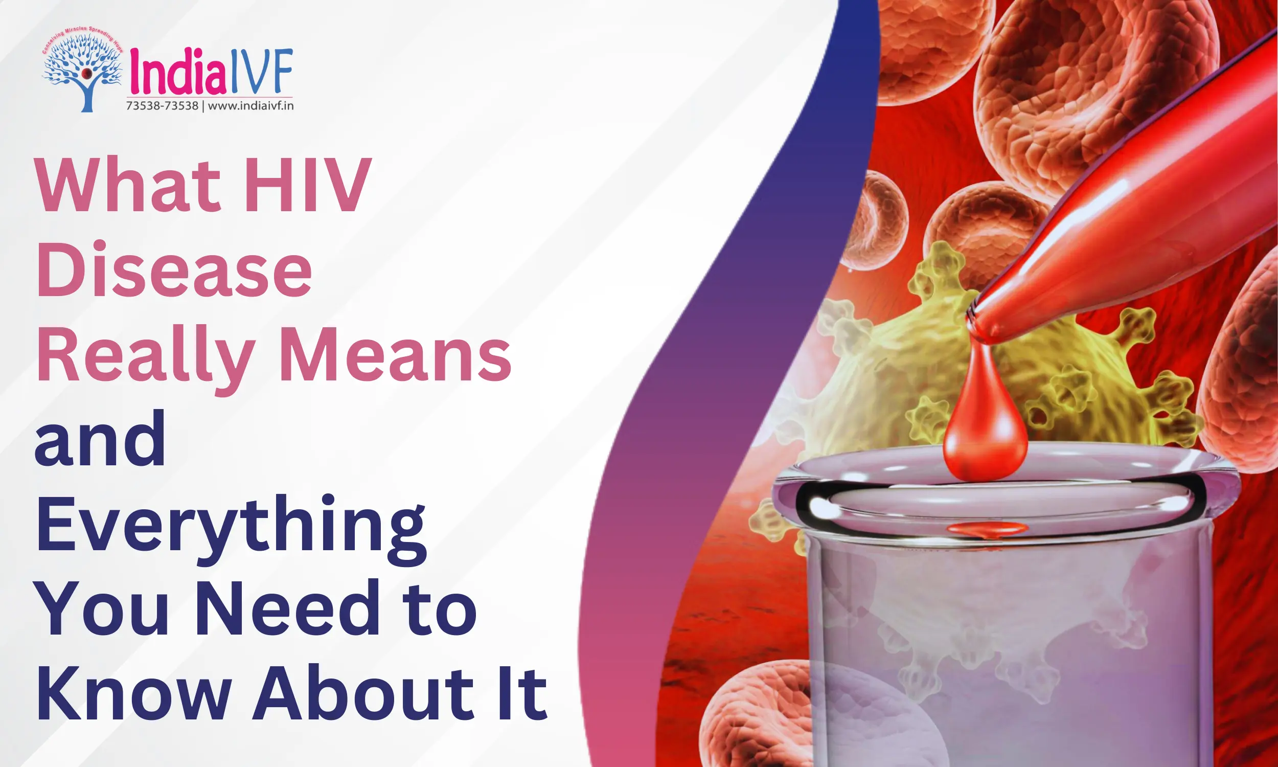 What HIV Disease Really Means and Everything You Need to Know About It