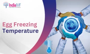 Egg Freezing Temperature