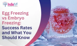 Embryo Freezing Success Rate