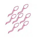 Sperm motility India IVF